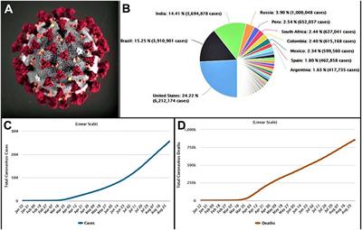 Frontiers | Fighting Strategies Against The Novel Coronavirus Pandemic ...